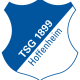 Prediksi Skor TSG Hoffenheim vs SV Darmstadt 98 18 Februari 2017